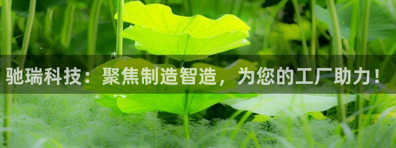 天辰娱乐上级：驰瑞科技：聚焦制造智造，为您的工厂助力！