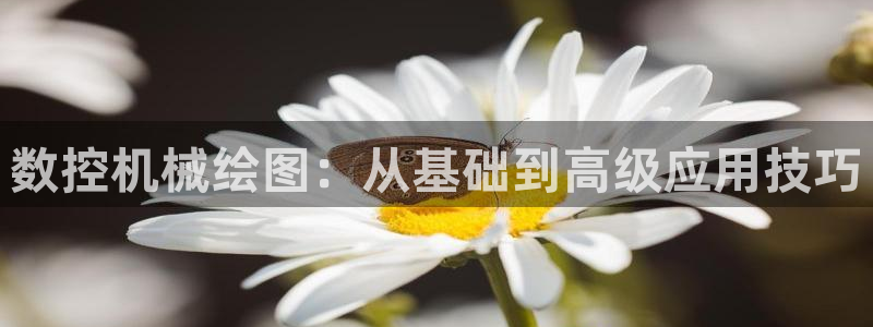 天辰娱乐平台