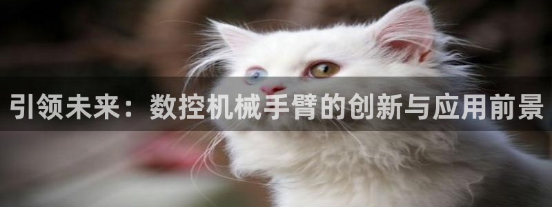 天辰娱乐挂机