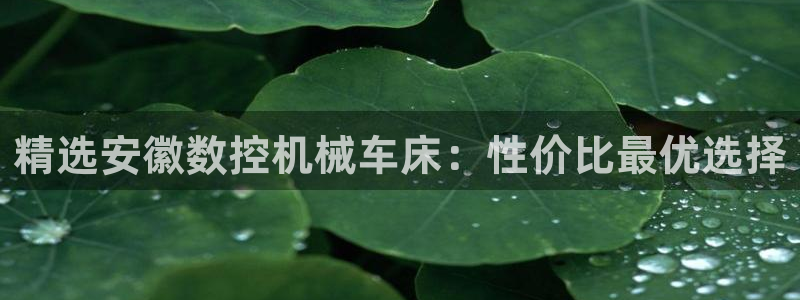 天辰娱乐登录网址