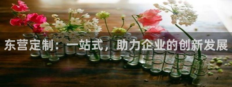 天辰 娱乐 注册：东营定制：一站式，助力企业的创新发展