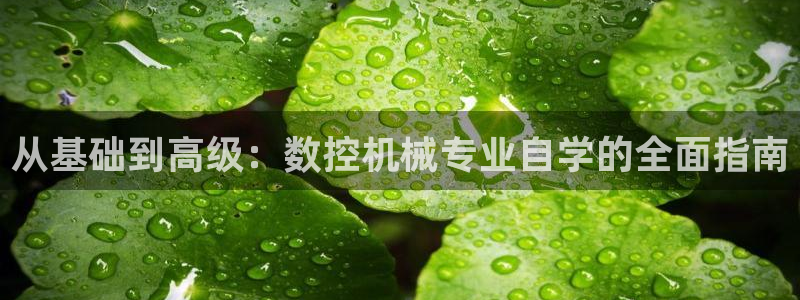 天辰 娱乐：从基础到高级：数控机械专业自学的全面指南