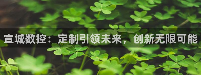 天辰娱乐棋牌：宣城数控：定制引领未来，创新无限可能