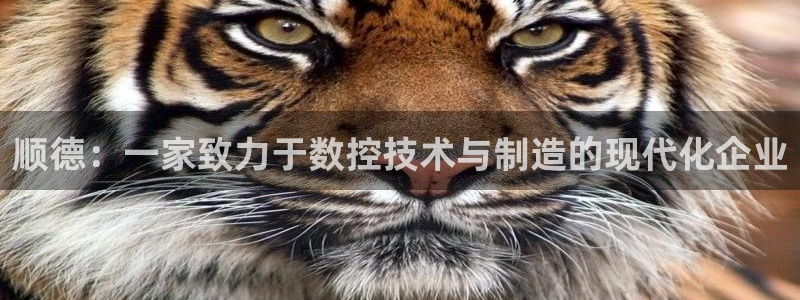 天辰娱乐线路：顺德：一家致力于数控技术与制造的现代化企业