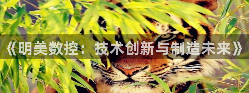天辰娱乐文化