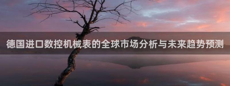 天辰娱乐1996：德国进口数控机械表的全球市场分析与未来趋势预测