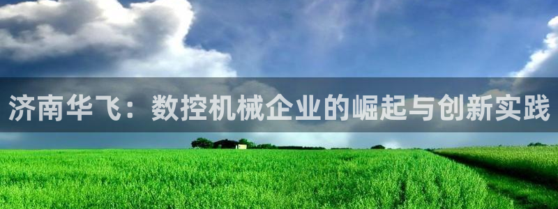 天辰娱乐 . 鱼刺：济南华飞：数控机械企业的崛起与创新实践