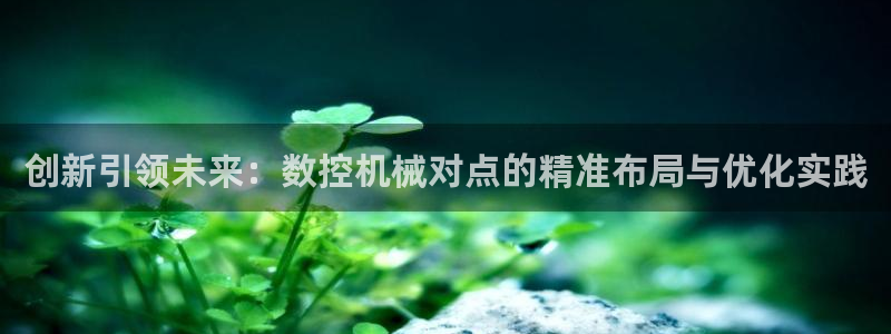 天辰娱乐主管：创新引领未来：数控机械对点的精准布局与优化实践