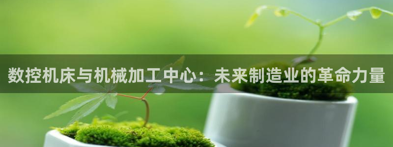 天辰娱乐tff