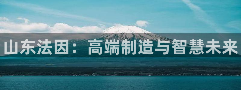 天辰娱乐-18113:山东法因:高端制造与智慧未来