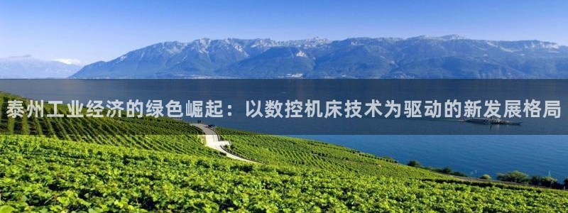 天辰娱乐赌博