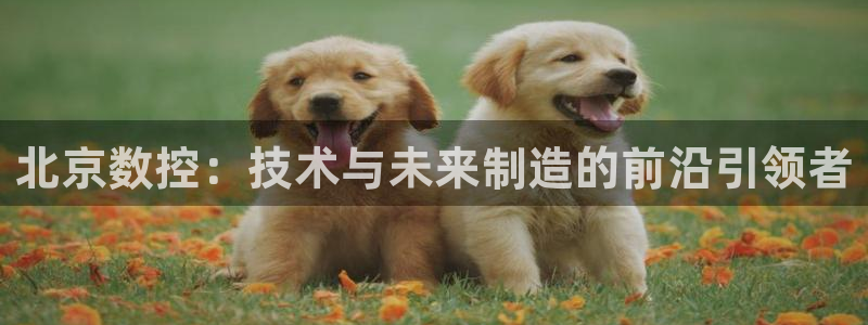 天辰娱乐十分彩