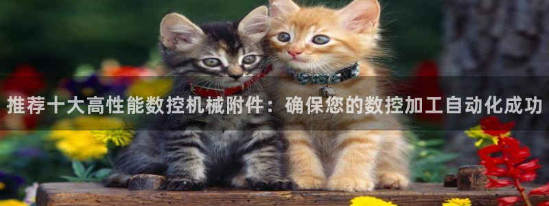 天辰娱乐平台靠谱么