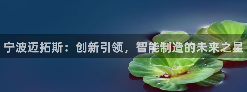 天辰娱乐登录测试