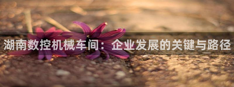 哈尔滨天辰娱乐：湖南数控机械车间：企业发展的关键与路径