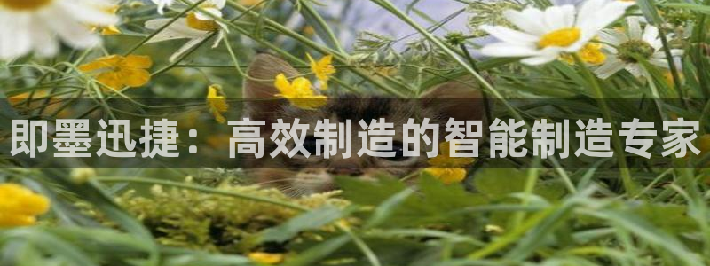 天辰娱乐1956：即墨迅捷：高效制造的智能制造专家