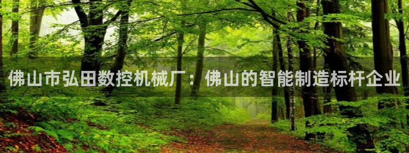 天辰在线娱乐：佛山市弘田数控机械厂：佛山的智能制造标杆企业