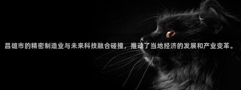 天辰娱乐黑人：昌雄市的精密制造业与未来科技融合碰撞，推动了当地经济的发展和产业变革。