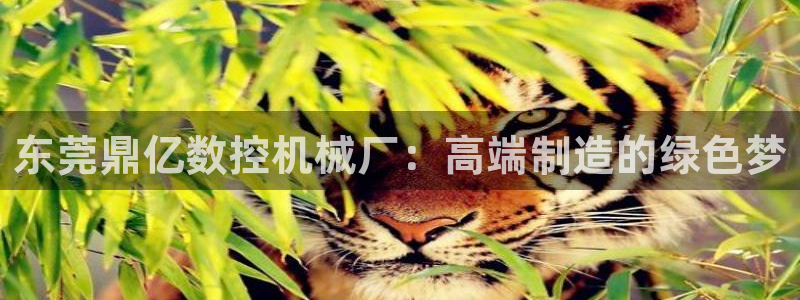 天辰娱乐视频：东莞鼎亿数控机械厂：高端制造的绿色梦