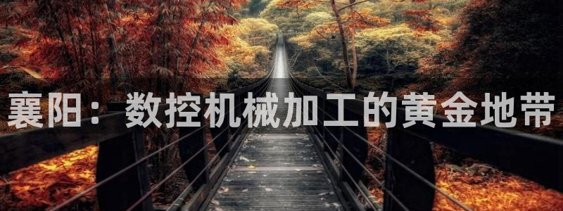 天辰娱乐下载链接